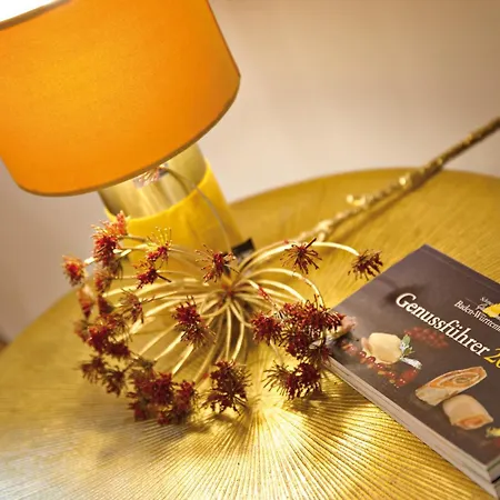 Zinsers Im Flämmle Aparthotel 3*