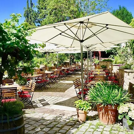 Zinsers Im Flämmle 3*