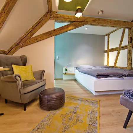 Zinsers Im Flämmle Aparthotel 3*