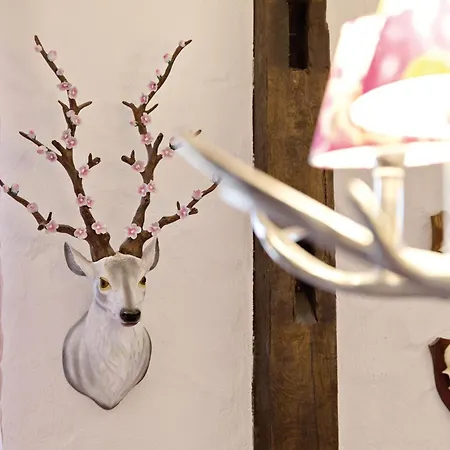 Aparthotel Zinsers Im Flämmle Brackenheim